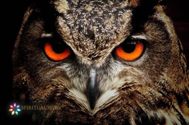 seeing an owl at night spiritual meaning
